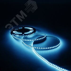 Лента светодиодная 6.5 Вт/м DC 24В 5000К IP20 120LED SMD2835 600 лм/м Black - фото 5