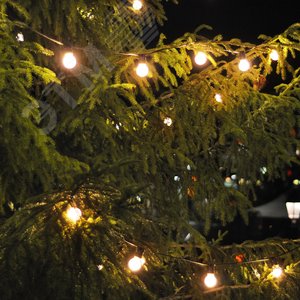 Гирлянда садовая на солнечной батарее 0.04 Вт Белый 30 ламп IP44 4.9 м Шары Solar - фото 5