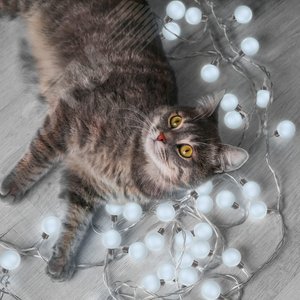 Гирлянда садовая на солнечной батарее 0.04 Вт Белый 10 ламп IP44 3.8 м Большие Шары Solar - фото 5