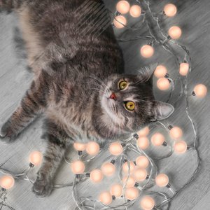 Гирлянда садовая на солнечной батарее 0.04 Вт Белый 20 ламп IP44 5.8 м Большие Шары Solar - фото 5