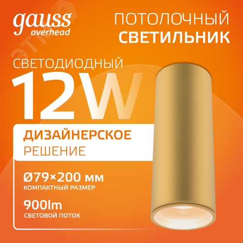 Светильник светодиодный ДБО 12 Вт 900 лм 3000К AC 220В Бронзовый IP20 D100х200мм Алюминий Overhead - фото 2