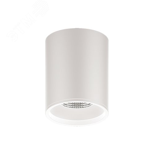 Светильник светодиодный ДБО 12 Вт 900 лм 3000К AC 220В Белый IP20 D79х100мм Алюминий Overhead - фото 1