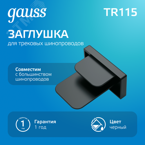 Заглушка для трекового шинопровода Черный Track - фото 2