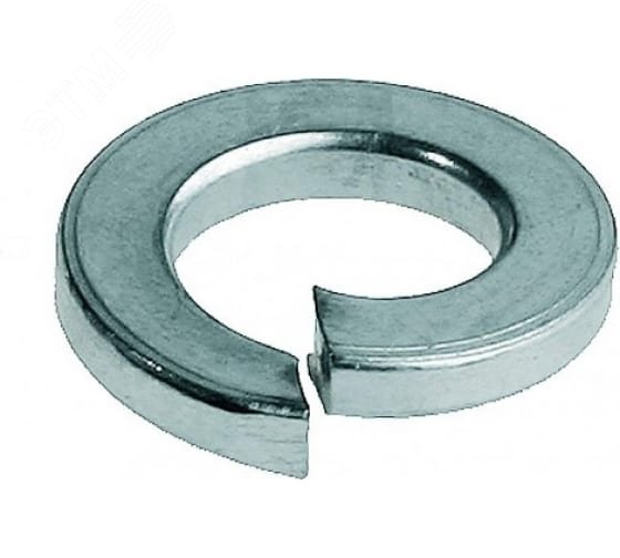Изображение товара Шайба DIN127 М8 гроверная пружинная нерж.сталь (шт)