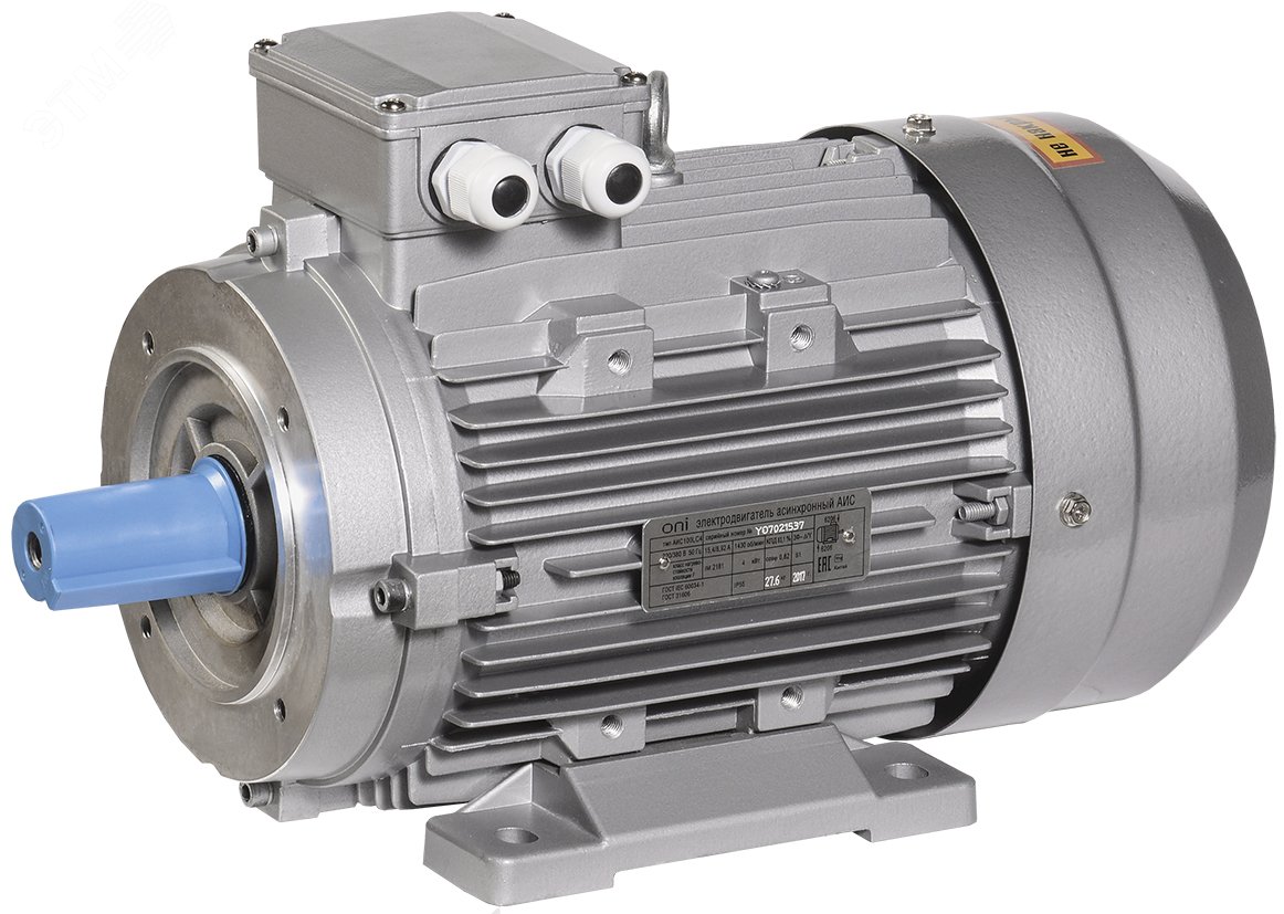Электродвигатель трехфазный АИС 100L2 380В 3кВт 3000об/мин 2181 ONS100-L2-003-0-3021 ONI