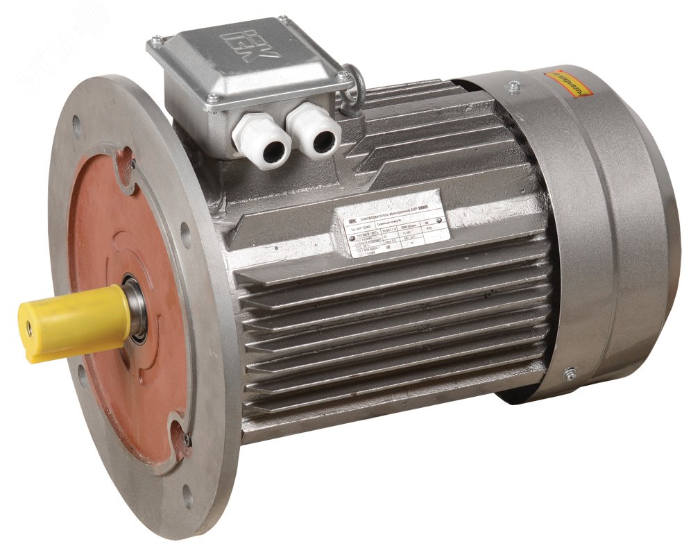 Изображение товара Трехфазный электродвигатель АИР 132M2 380В 11кВт 3000 об/мин 3081 DRIVE