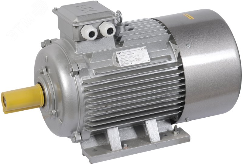 Электродвигатель трехфазный АИР 180M4 660В 30кВт 1500 об/мин 1081 DRIVE DRV180-M4-030-0-1510 ONI - превью 2