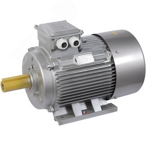 Изображение товара Электродвигатель трехфазный АИР 200M6 660В 22кВт 1000 об/мин 1081 DRIVE (шт)