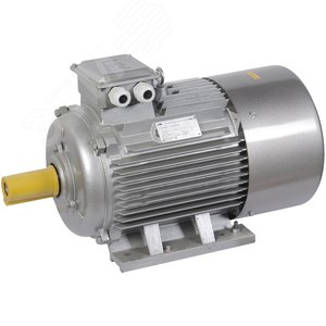 Электродвигатель трехфазный АИР 180M6 660В 18.5кВт 1000 об/мин 1081 DRIVE DRV180-M6-018-5-1010 ONI