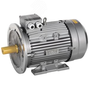 Электродвигатель трехфазный АИС 180L6 660В 15кВт 1000об/мин 2081 DRIVE AIS180-L6-015-0-1020 ONI