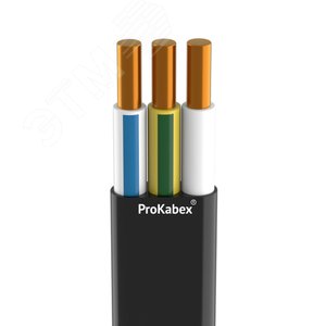 Кабель силовой ВВГП-нг(А)-LSLTx 3x6 ок(N, PE)-0.66 - фото 1