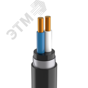 Кабель силовой ВБШвнг(А) 2х4 ок(N)-0,66 - фото 1