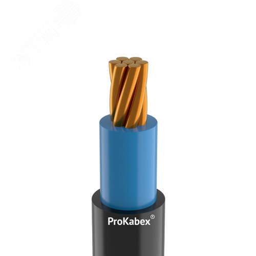 Кабель силовой ВБШвнг(А)-FRLS 1х25мк(PE)-0,66 ТРТС - фото 1