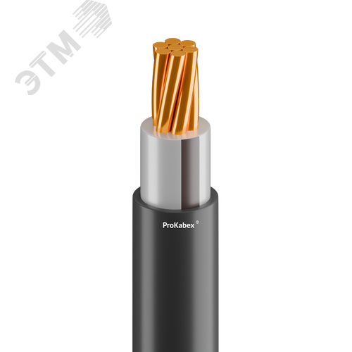 Кабель силовой ППГнг(А)-HF 1х240 мк-1 ТРТС черный - фото 1