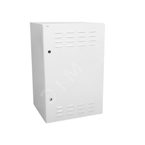 Шкаф уличный всепогодный настенный укомплектованный 6U (600х300) комплектация T2-IP65 ШТВ-Н-6.6.3-4ААА-Т2 ЦМО