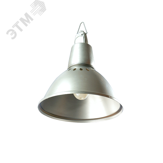 Изображение товара Ламповый подвесной уличный светильник НСП17-200-001 Россия