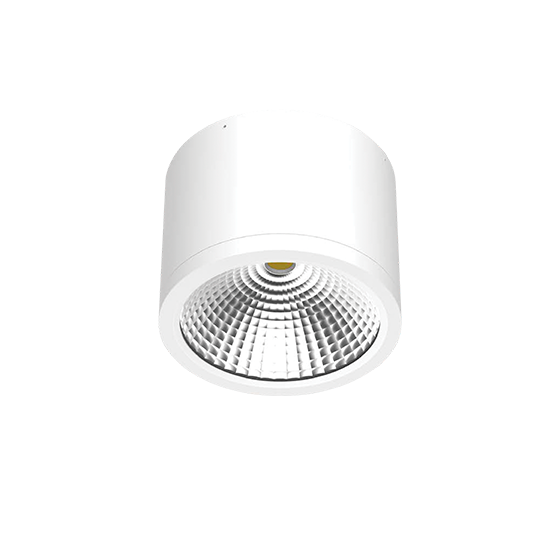 Светильник светодиодный потолочный ДПО39-10-001 Cylinder 840