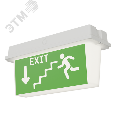 Оповещатель пожарный световой/указатель ДПО78-3-133 Neptun DT LED - фото 1