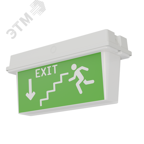 Оповещатель пожарный световой/указатель ДПО78-3-133 Neptun DT LED - фото 2