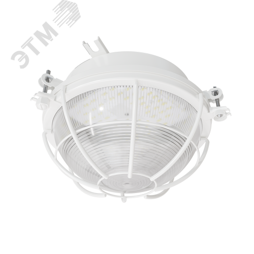 Светильник ламповый промышленный НПП03-60-003 - фото 2