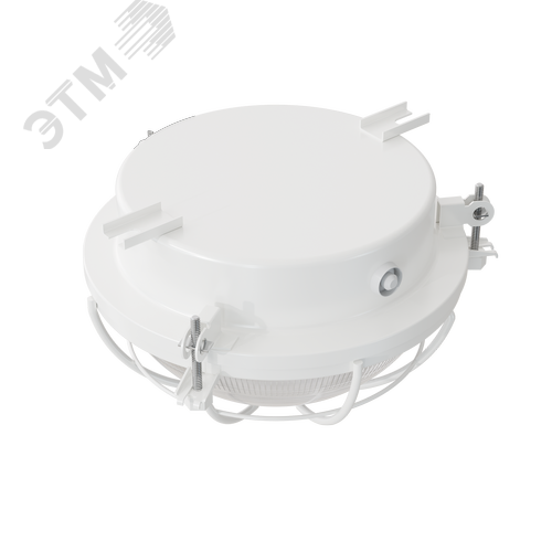 Светильник ламповый промышленный НПП03-60-003 - фото 3