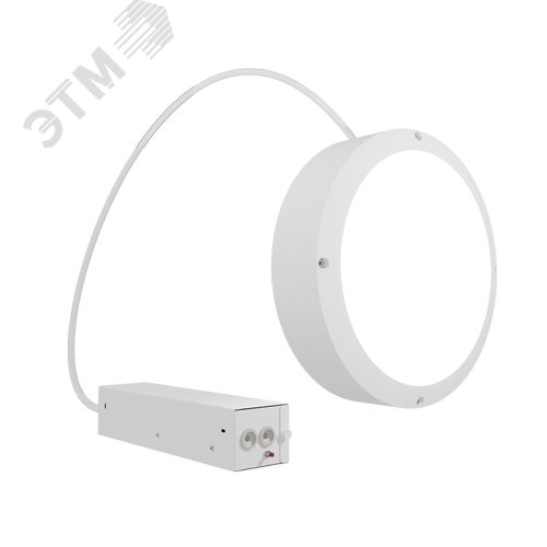 Светильник светодиодный настенный потолочный аварийный для ЖКХ ДБО85-24-241 Sever EM1 840 - фото 1