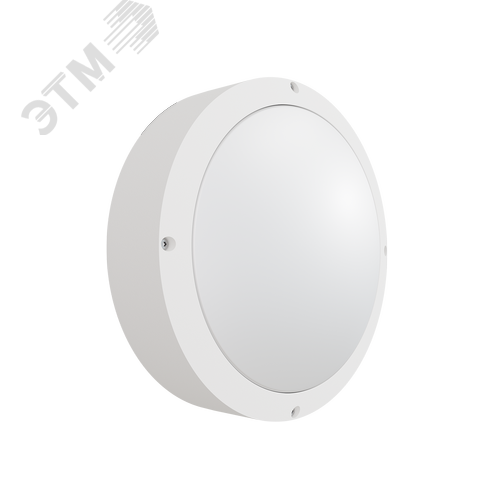 Светильник светодиодный настенный потолочный для ЖКХ ДБО85-24-221 Tablette NL 940 - фото 2