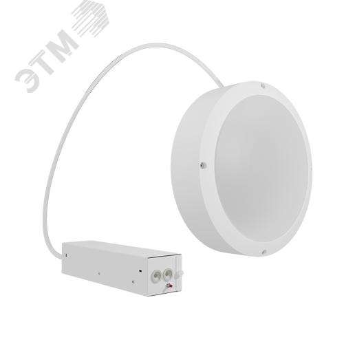 Светильник светодиодный настенный потолочный аварийный для ЖКХ ДБО85-24-241 Sever EM1 840 - фото 2