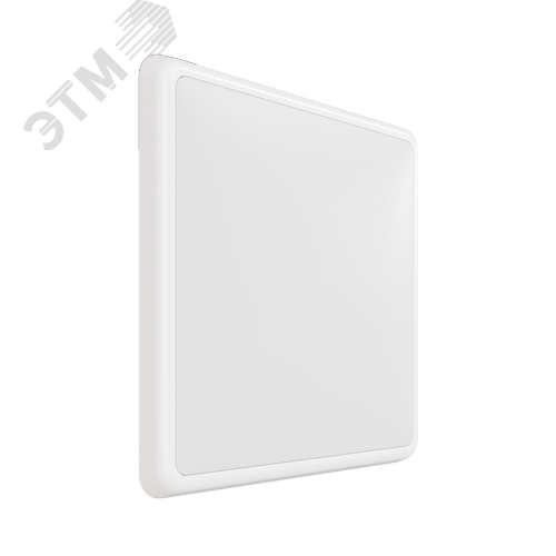 Светильник светодиодный настенный потолочный аварийный для ЖКХ ДБО89-25-041 KDR EM3 940 - фото 2