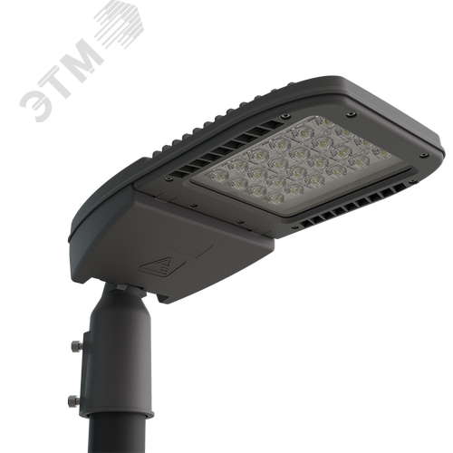 Светильник светодиодный консольный ДКУ64-90-201 Premier Arctic 750 - фото 4