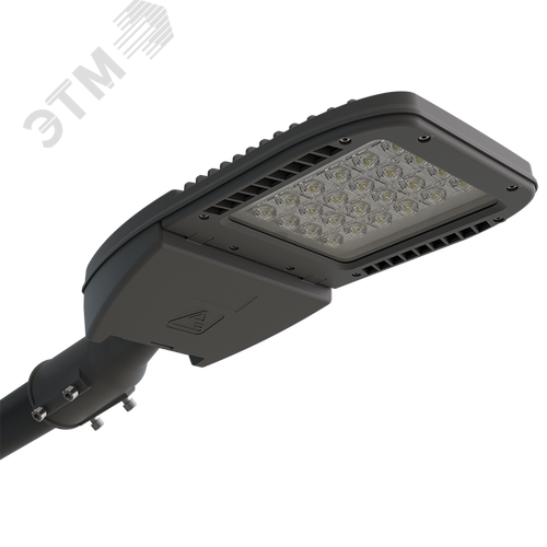 Светильник светодиодный консольный ДКУ64-60-101 Premier Arctic 750 - фото 1