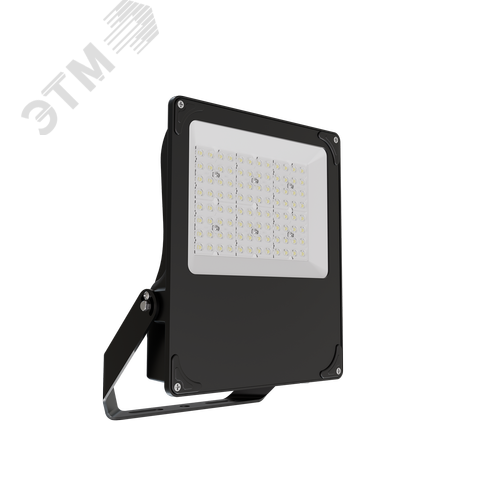 Прожектор светодиодный ДО08-50-001 FLG 750 - фото 2