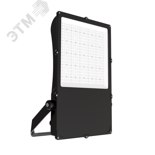 Прожектор светодиодный ДО08-300-301 FLG 750 - фото 1