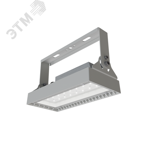 Светильник светодиодный промышленный ДСП19-55-001 Quant GM 750 - фото 1