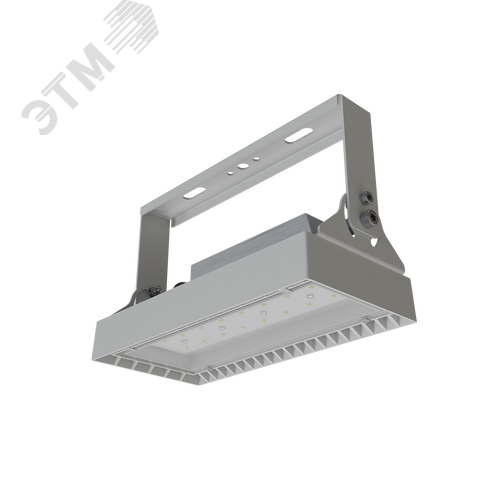 Прожектор светодиодный ДО19-55-001 Quant 750 - фото 2