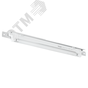 Изображение товара Блок освещения NIKOMAX, 19'', 1U, Г35мм, серый (шт)