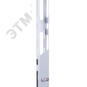 Органайзер кабельный вертикальный 42U TFR TFL и TFA Ш88хВ1870хГ61мм  серый