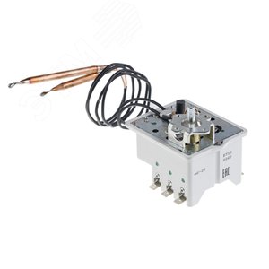 Термостат регулируемый ER 200-300л  (22) - фото 1