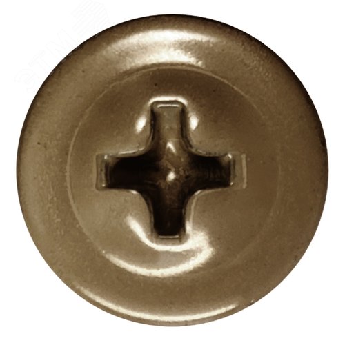 Саморез металл/металл 4.2х19 пресс-шайба острый RAL1036 - фото 2