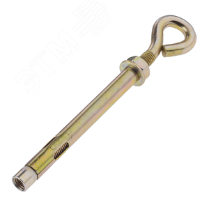 Болт анкерный 12х100 с кольцом - фото 2