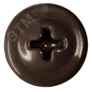 Саморез металл/металл 4.2х16 пресс-шайба острый RAL8019 - фото 2