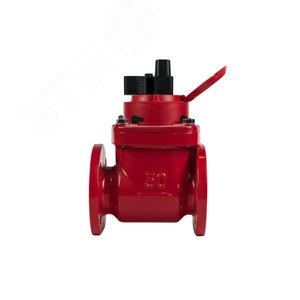 Счетчик воды СТВУ-50 МИД Р Радиомодуль LoRaWAN - фото 4