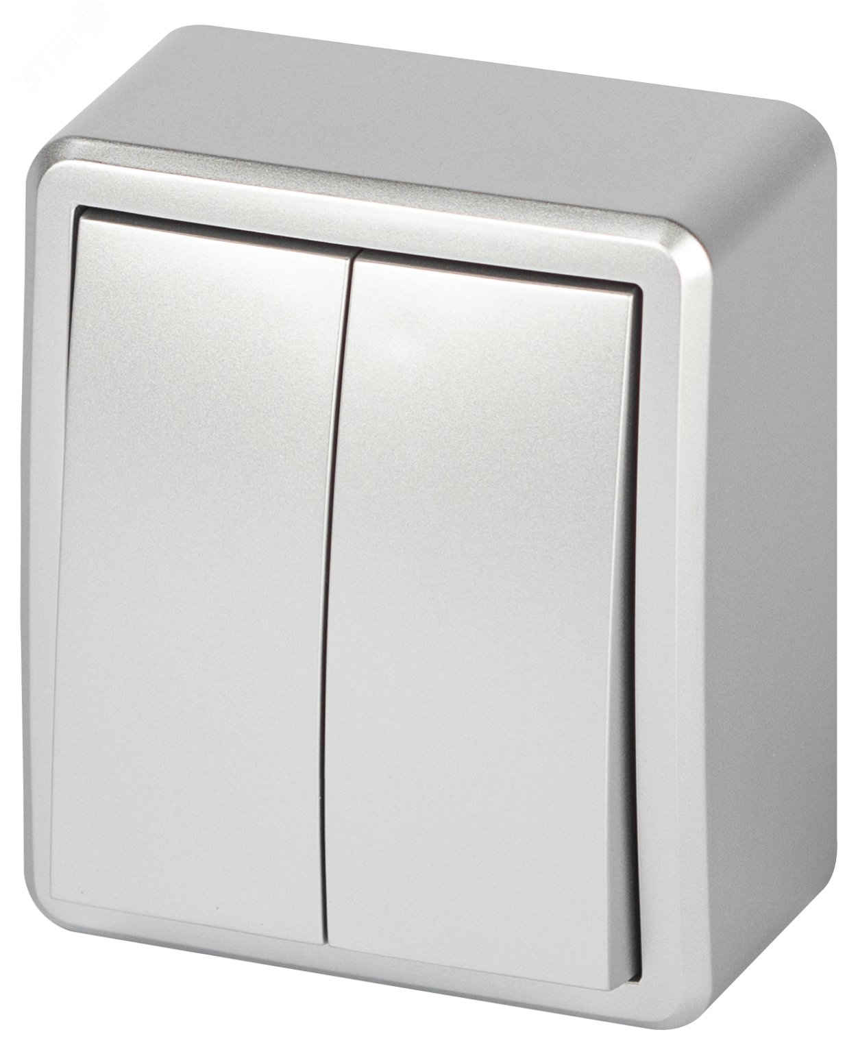 Изображение товара Двухклавишный наружный выключатель ЭРА Эксперт IP20 10А 250В алюминий