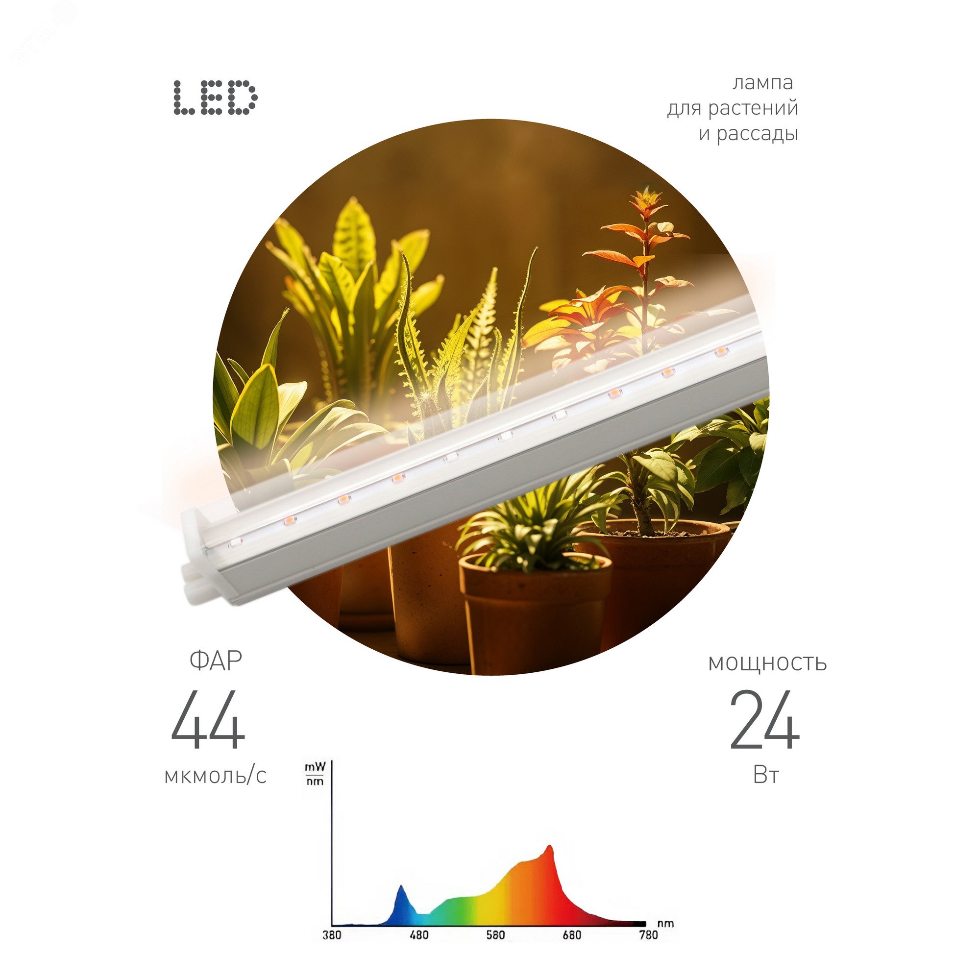 Изображение товара Фитолампа светодиодная GREEN LINE 24 Вт для растений