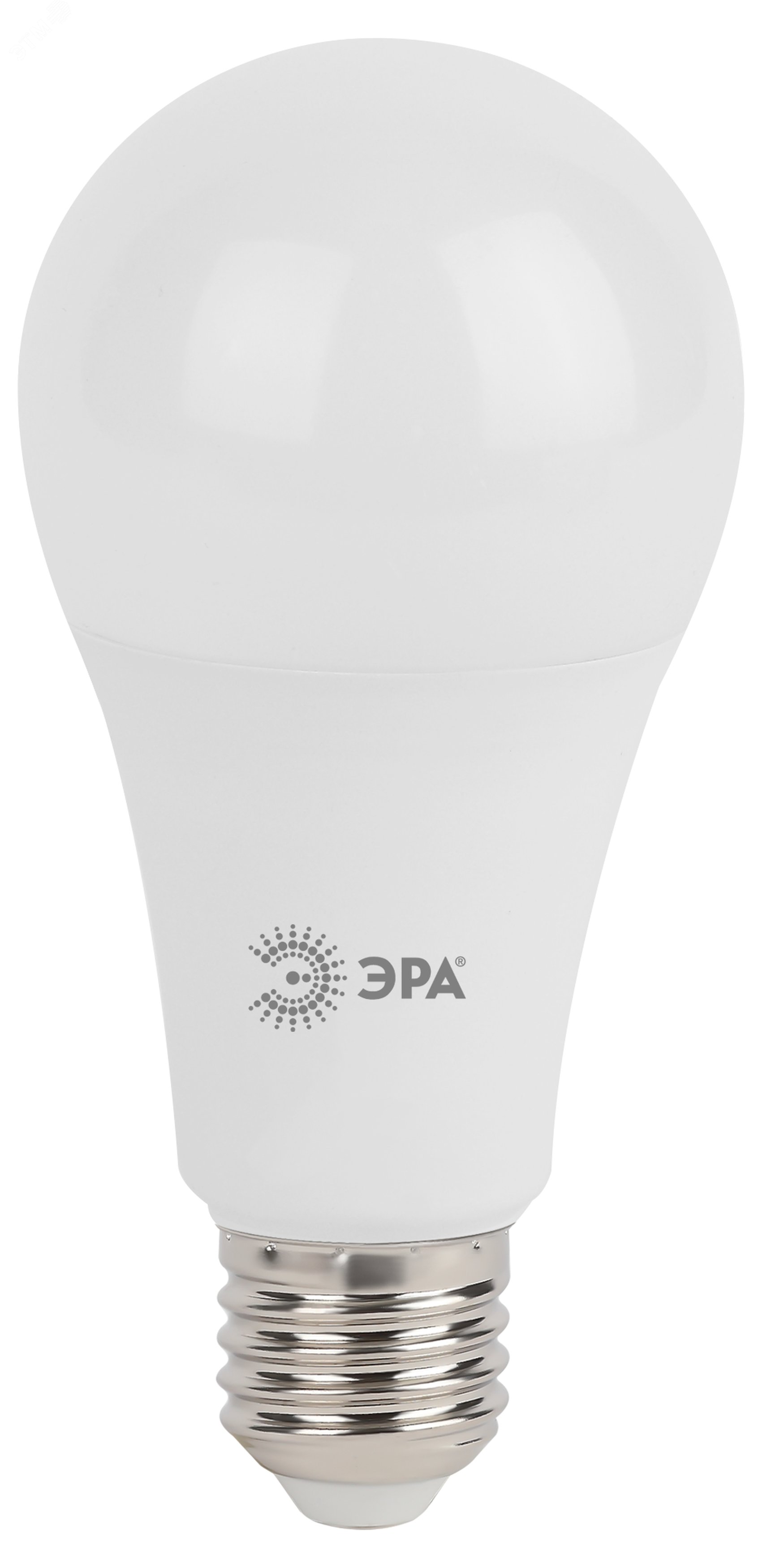 Лампа светодиодная LEDA65-25W-860-E27(диод,груша,25Вт,хол,E27) Б0035336 ЭРА - превью 3