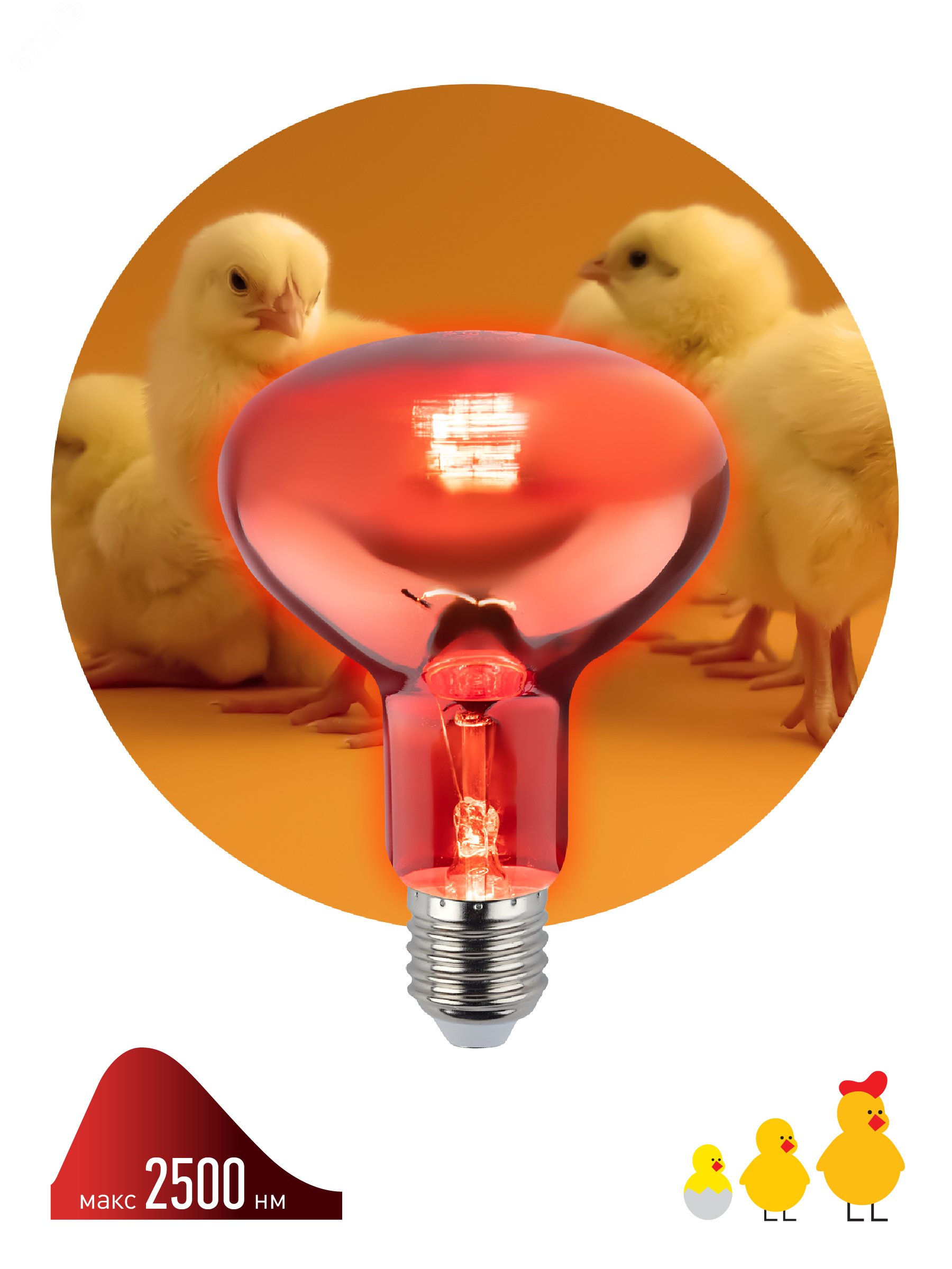Инфракрасная лампа E27 кратность 1 шт для обогрева животных и освещения 100 Вт ИКЗК 230-100 R95 Б0062411 ЭРА - превью