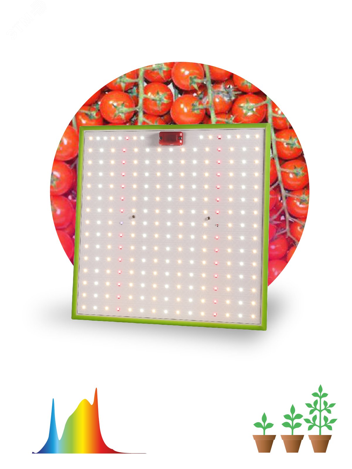 Фитопрожектор для растений светодиодный FITO-80W-LED-QB Quantum board Б0053285 ЭРА - превью 2