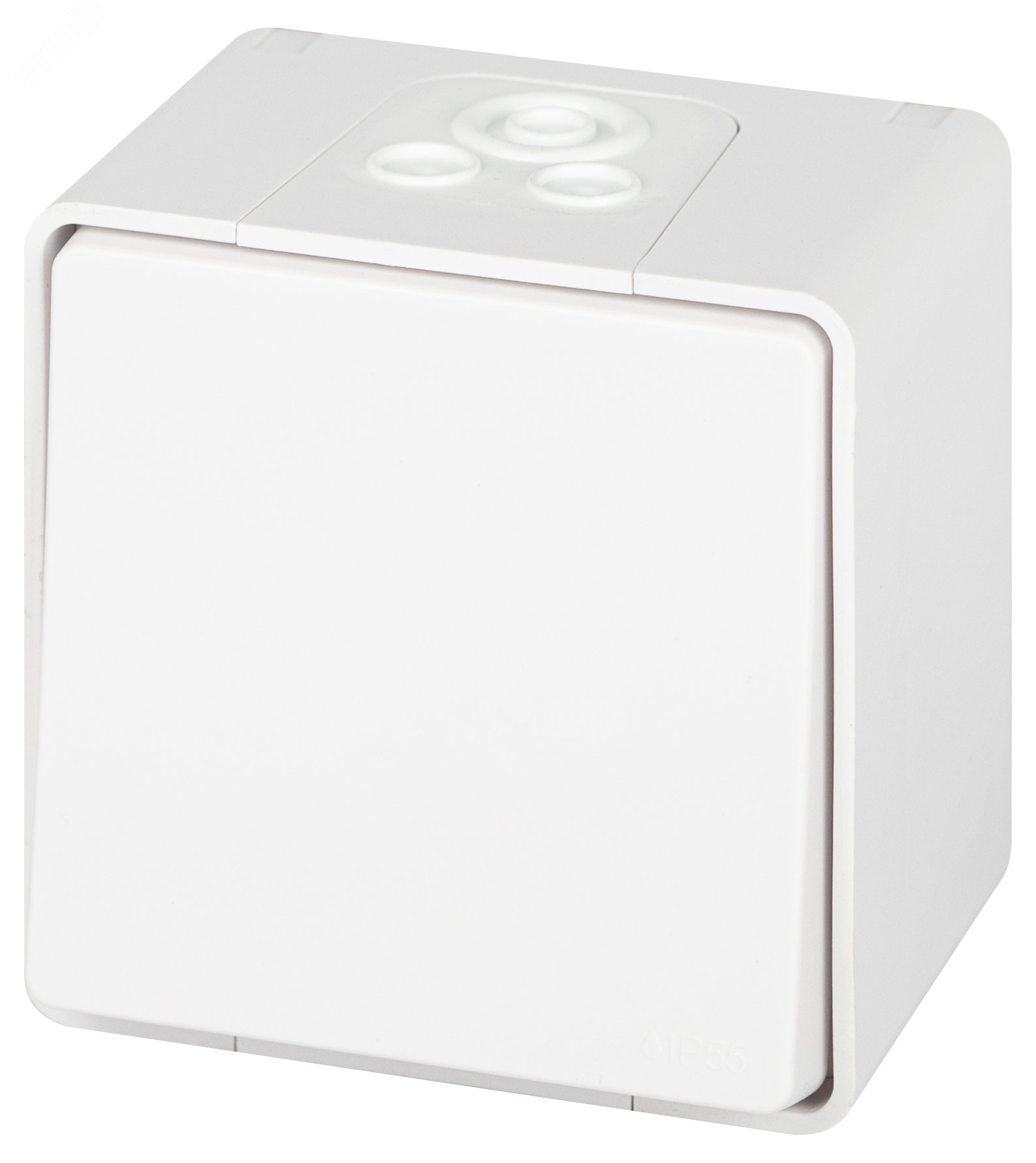 Изображение товара Выключатель одноклавишный наружный IP55 белый 10А 250В ЭРА Эксперт 11-1501-01