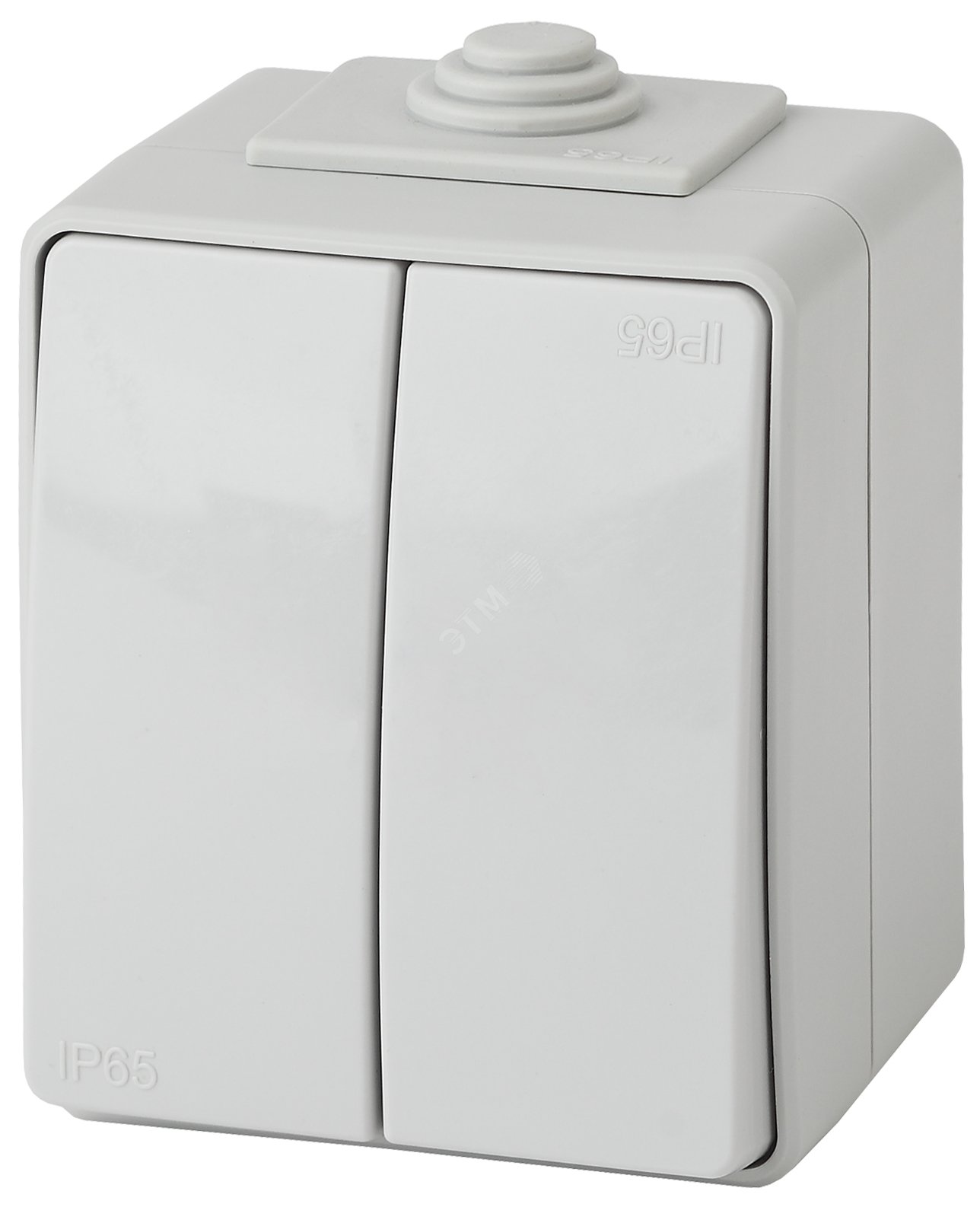 Изображение товара Выключатель двухклавишный наружный IP65 10А 250В ЭРА Эксперт серый