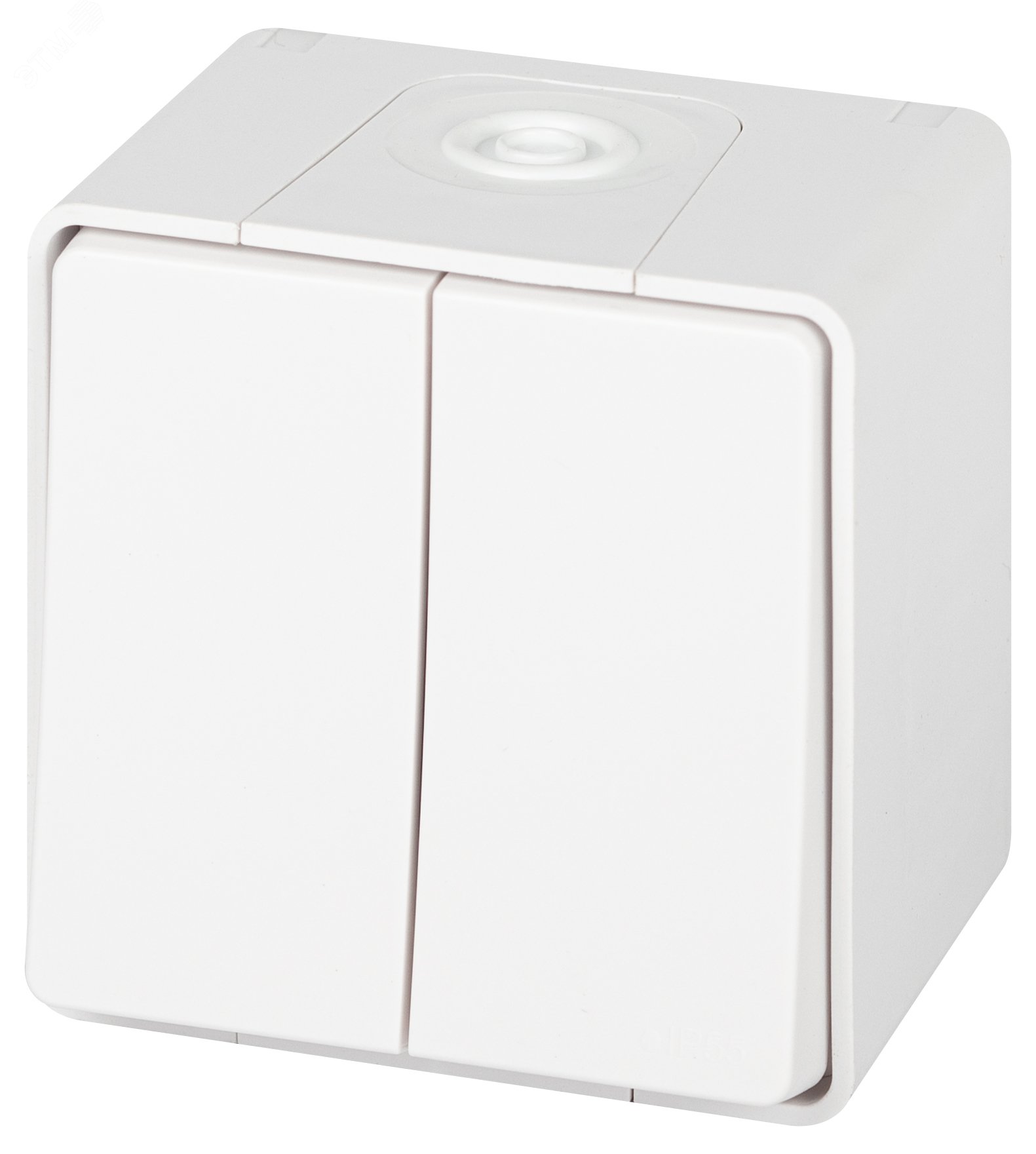 Изображение товара Выключатель двухклавишный IP55 открытой установки ЭРА Эксперт белый 10А 250В